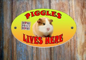 Guniea Pig Personalised Hutch Sign