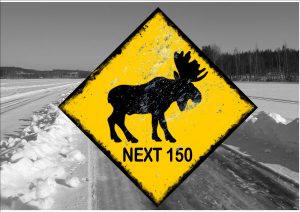 Moose Next 220km Ice Road Novelty Sign