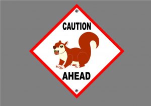 SQUIRREL SIGN