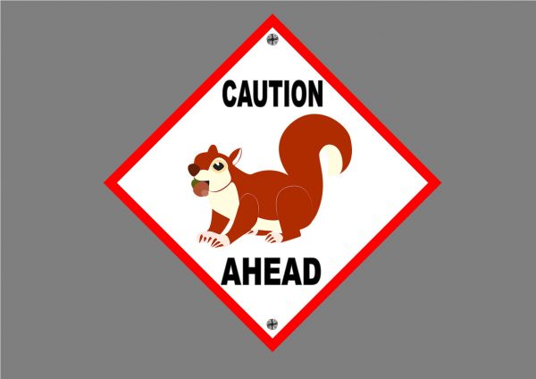 SQUIRREL SIGN