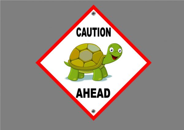 TORTOISE SIGN