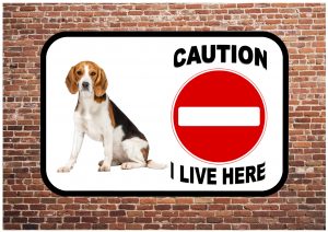 Beagle Beware of The Dog Sign