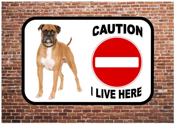 Beware of the dog sign