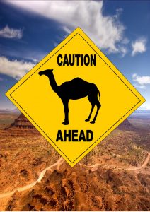 camel warning signs