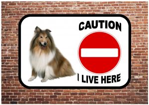 collie dog sign