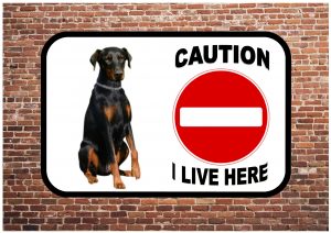 Beware of the dog sign