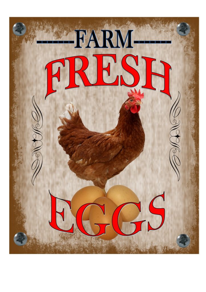 Farm Fresh Eggs Vintage Sign Reproduction Vintage Style Advertising ...