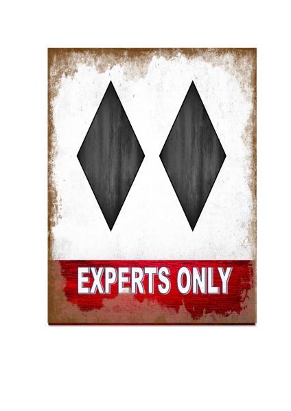 experts only ski sign