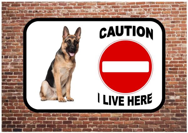 Beware of the dog sign