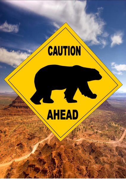 Novelty Polar Bear Warning Sign Joke Road Sign Man Cave Wall Plaque ...